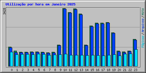 Utilizao por hora em Janeiro 2025